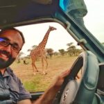 Serengeti’de Safari